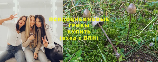 стаф Абаза