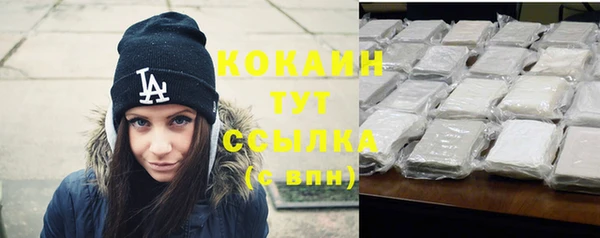 стаф Абаза