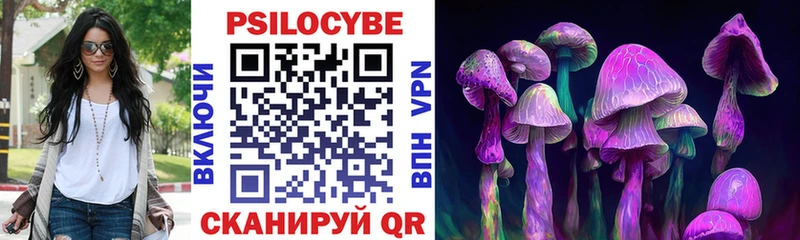 дарнет шоп  Галич  Псилоцибиновые грибы Magic Shrooms 